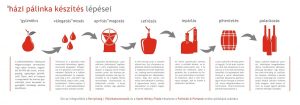 Ismerd meg a házipálinka főzés 7 lépését a Partyőrség | Pálinkakommandó infografikája révén